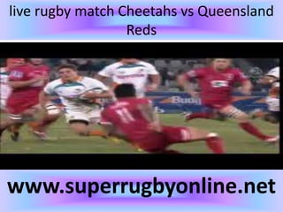 live rugby match Cheetahs vs Queensland
Reds
www.superrugbyonline.net
 