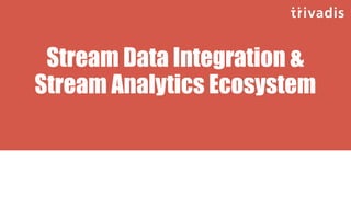 Stream Data Integration &
Stream Analytics Ecosystem
 
