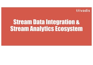 Stream Data Integration &
Stream Analytics Ecosystem
 