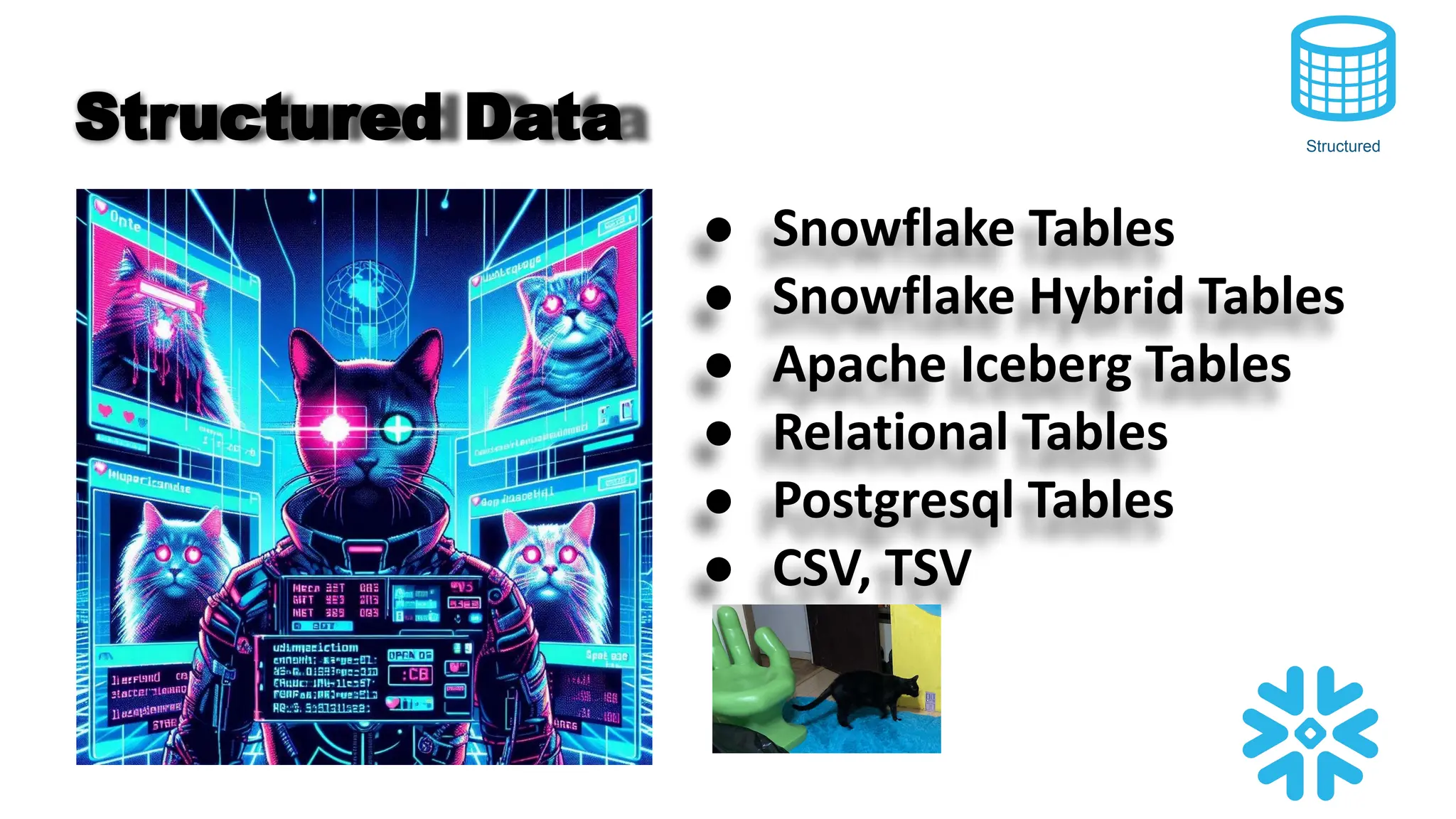 Structured Data
● Snowflake Tables
● Snowflake Hybrid Tables
● Apache Iceberg Tables
● Relational Tables
● Postgresql Tables
● CSV, TSV
Structured
 