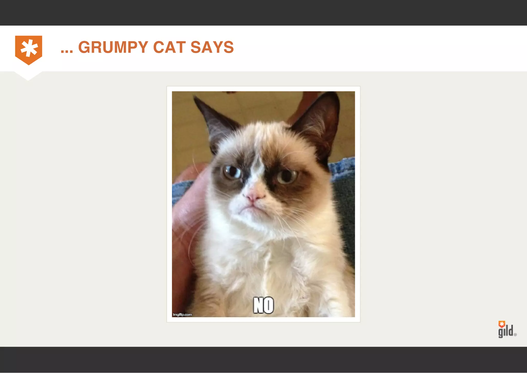 ... GRUMPY CAT SAYS 
 