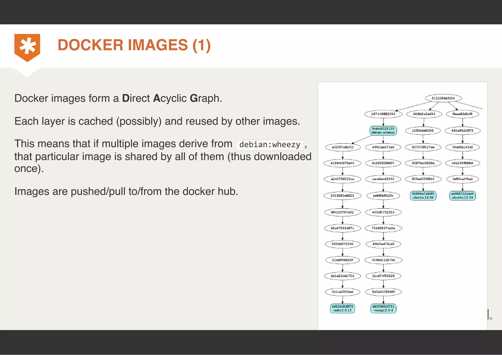 DOCKER IMAGES (1) 
Docker images form a Direct Acyclic Graph. 
Each layer is cached (possibly) and reused by other images. 
This means that if multiple images derive from debian:wheezy, 
that particular image is shared by all of them (thus downloaded 
once). 
Images are pushed/pull to/from the docker hub. 
 