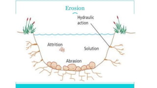 Lotic System Examples Characteristics of Lotic system (Streams and rivers) | PDF
