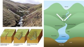Lotic System Examples Characteristics of Lotic system (Streams and rivers) | PDF