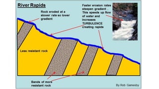 Lotic System Examples Characteristics of Lotic system (Streams and rivers) | PDF