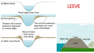 Lotic System Examples Characteristics of Lotic system (Streams and rivers) | PDF