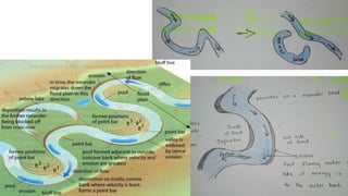 Lotic System Examples Characteristics of Lotic system (Streams and rivers) | PDF