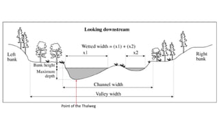 Lotic System Examples Characteristics of Lotic system (Streams and rivers) | PDF