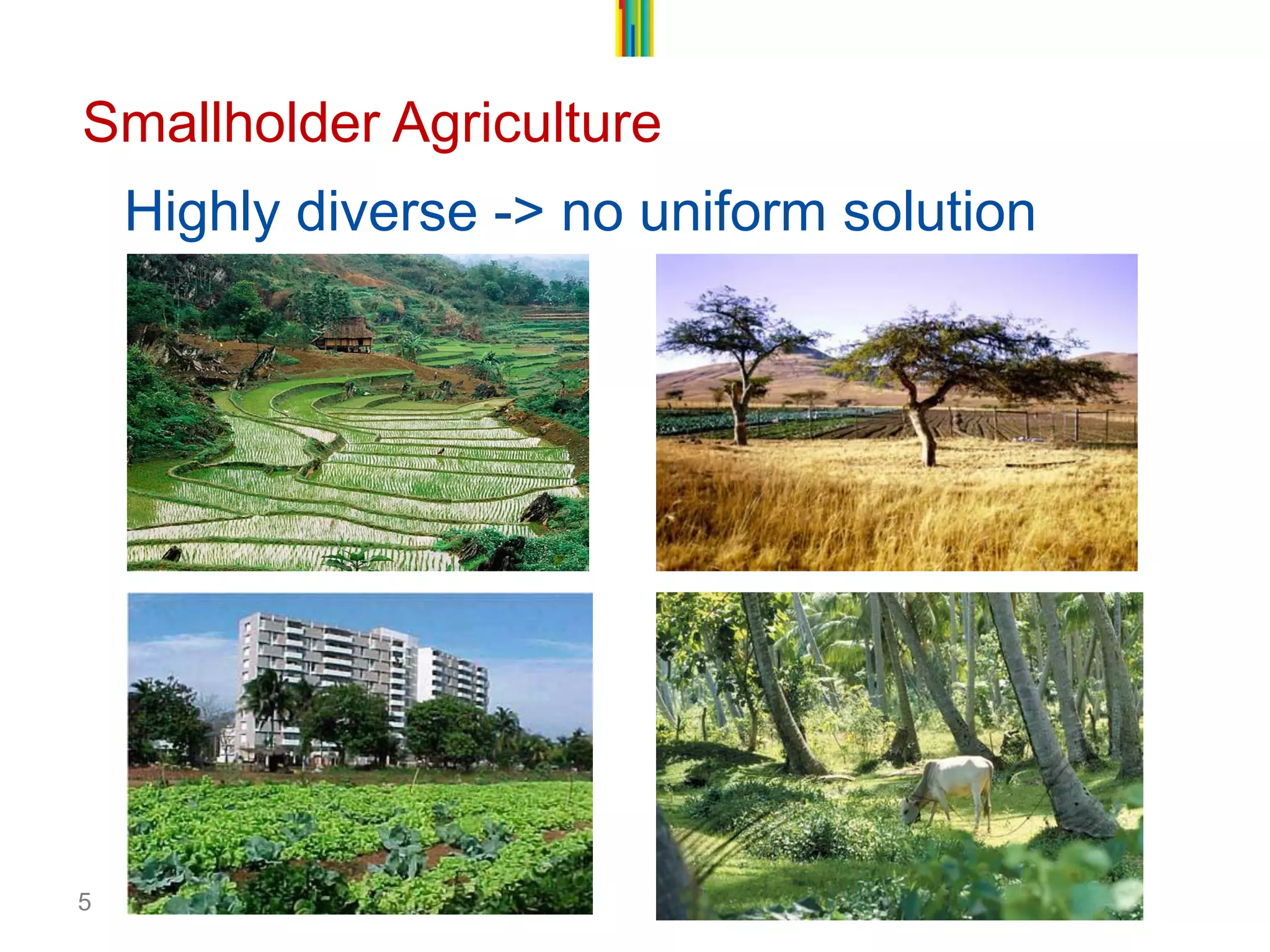 5 
Smallholder Agriculture 
Highly diverse -> no uniform solution  