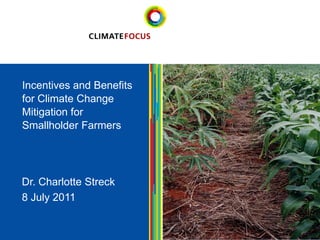 1 
Dr. Charlotte Streck 
8 July 2011 
1Incentives and Benefits for Climate Change Mitigation for Smallholder Farmers  