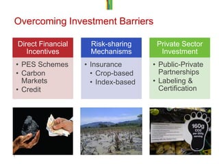 Streck c creating incentives and benefits july 2011