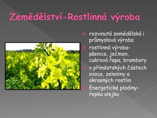 Zemědělství-Rostlinná výrobarozvinutá zemědělská i průmyslová výrobarostlinná výroba-pšenice, ječmen, cukrová řepa, bramboryv příměstských částech ovoce, zeleniny a okrasných rostlinEnergetické plodiny-řepka olejka