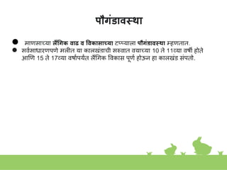 पौगंडावस्था
● माणसाच्या लैंगगक वाढ व ववकासाच्या टप्प्याला पौगंडावस्था म्हणतात.
● सवकसाधारणपणे मुलीत या कालखांडाची सुरुवात वयाच्या 10 ते 11व्या वषी होते
आणण 15 ते 17व्या वषाकपयांत लैंगगक ववकास पूणक होऊि हा कालखांड सांपतो.
 