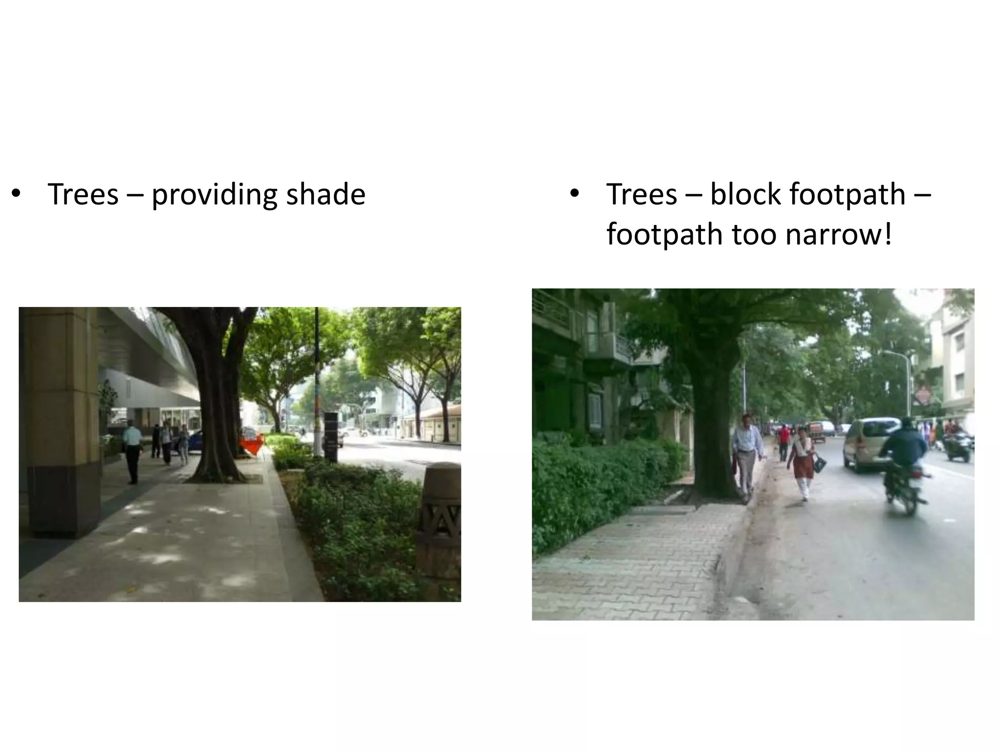 • Trees – providing shade • Trees – block footpath –
footpath too narrow!
 