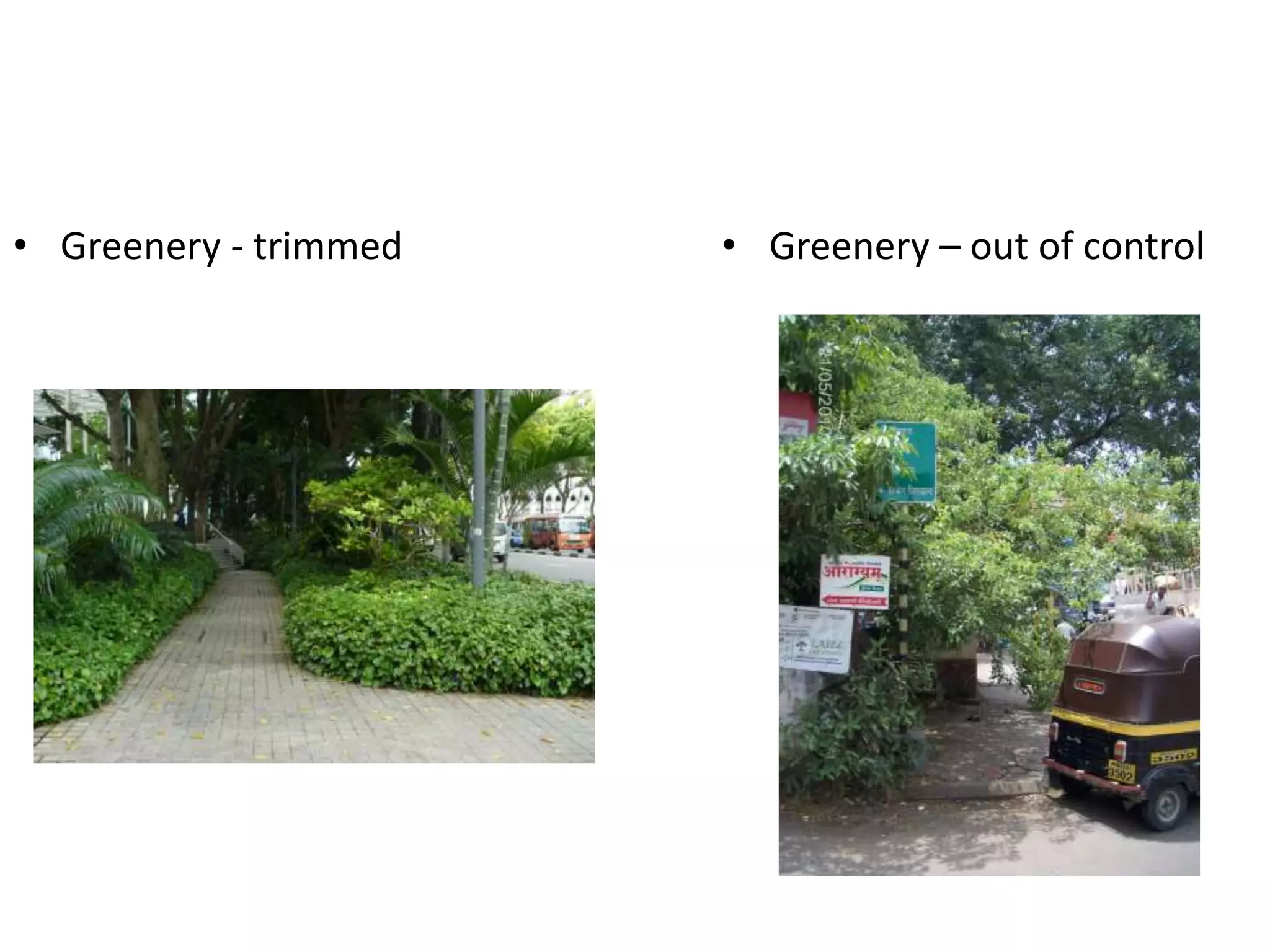 • Greenery - trimmed • Greenery – out of control
 