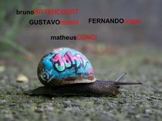 bruno BITTENCOURT GUSTAVO reischl matheus CONCI FERNANDO cogan 