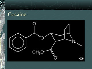 Cocaine
 