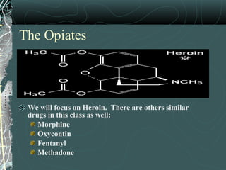 The Opiates
We will focus on Heroin. There are others similar
drugs in this class as well:
Morphine
Oxycontin
Fentanyl
Methadone
 