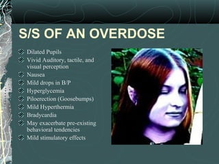 S/S OF AN OVERDOSE
Dilated Pupils
Vivid Auditory, tactile, and
visual perception
Nausea
Mild drops in B/P
Hyperglycemia
Piloerection (Goosebumps)
Mild Hyperthermia
Bradycardia
May exacerbate pre-existing
behavioral tendencies
Mild stimulatory effects
 