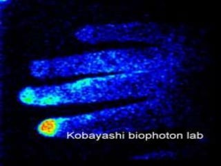 Journey into the anatomy and physiology of the human biofield with the ...