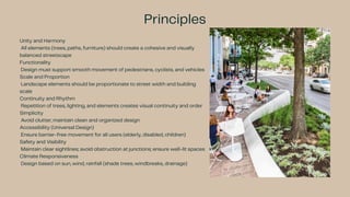 Comprehensive Guide to Street Landscaping: Objectives, Elements, and ...