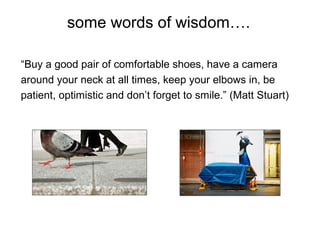 some words of wisdom….
“Buy a good pair of comfortable shoes, have a camera
around your neck at all times, keep your elbows in, be
patient, optimistic and don’t forget to smile.” (Matt Stuart)
 