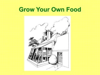 Grow Your Own Food
 