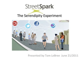 The	
  Serendipity	
  Experiment




       Presented	
  by	
  Tom	
  LeBree	
  	
  June	
  21/2011
 