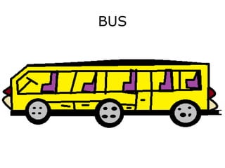 BUS
 