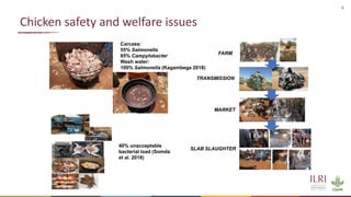Training of street vendors of ready-to-eat chicken in Ouagadougou on best practices in hygiene using a food safety champion approach