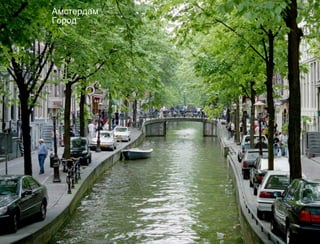 Амстердам
Город
 