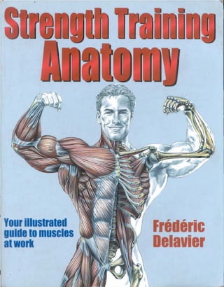 Strenght training anatomy