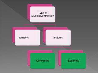 Type of
MuscleContraction
Isometric Isotonic
Concentric Eccentric
 