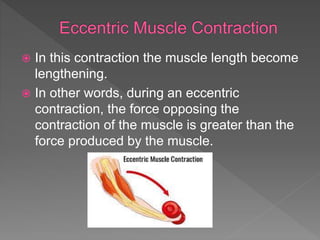  In this contraction the muscle length become
lengthening.
 In other words, during an eccentric
contraction, the force opposing the
contraction of the muscle is greater than the
force produced by the muscle.
 