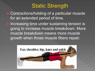  Contractions/holding of a particular muscle
for an extended period of time.
 Increasing time under sustaining tension is
going to increase muscle breakdown. More
muscle breakdown means more muscle
growth when those muscle fibers repair.
 