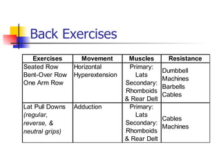 Back Exercises 