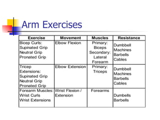 Arm Exercises 