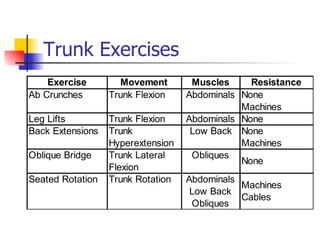 Trunk Exercises 