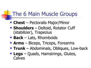 The 6 Main Muscle Groups Chest  – Pectoralis Major/Minor Shoulders  –   Deltoid, Rotator Cuff (stabilizer), Trapezius Back  – Lats, Rhomboids Arms  – Biceps, Triceps, Forearms Trunk  – Abdominals, Obliques, Low-back Legs  – Quads, Hamstrings, Glutes, Calves 
