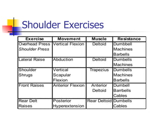 Shoulder Exercises 