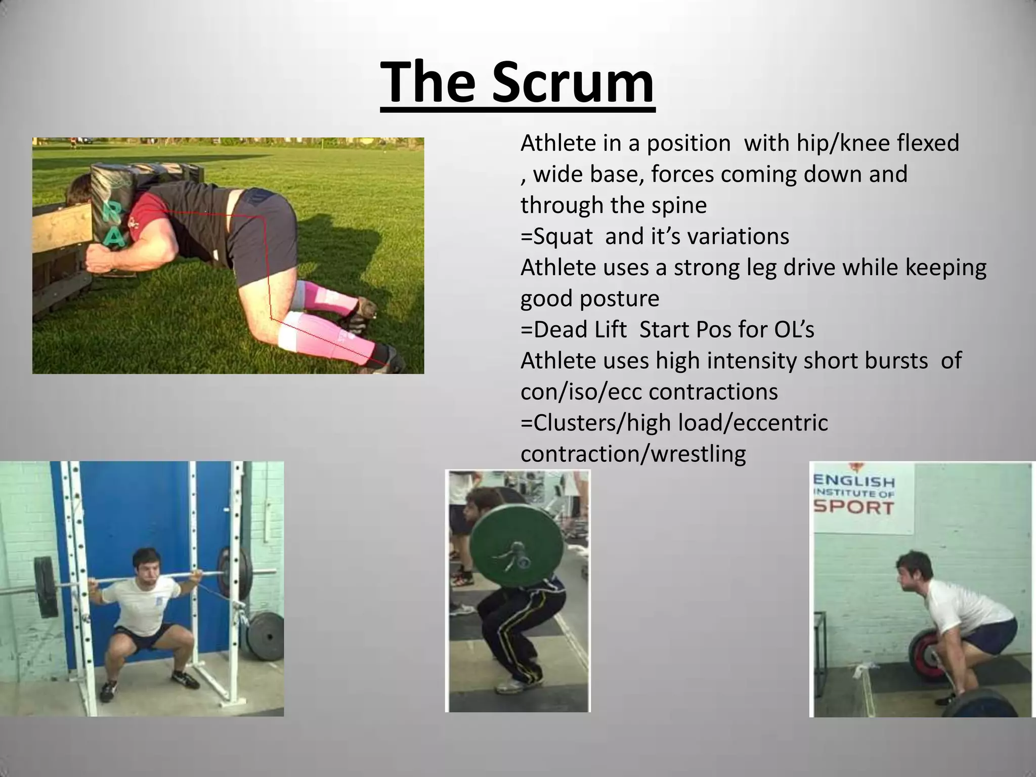 The Lineout LiftSquat PositionExercises:       Back Squat 	         Front Squat	         Dead Lift	         CatchOH MovementExercises:       OHS       	         Snatch	         Push Prs	         Jerk	         Shr PressTriple Extension     Exercises:      OL’s	         CMJ