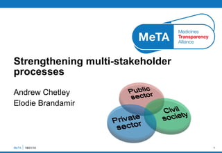 Andrew Chetley Elodie Brandamir  Strengthening multi-stakeholder processes  MeTA  18/01/10 