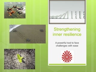 Strengthening
inner resilience
A powerful tool to face
challenges with ease
 