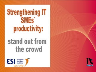Strengthening IT SMEs´ productivity:  stand out from the crowd  