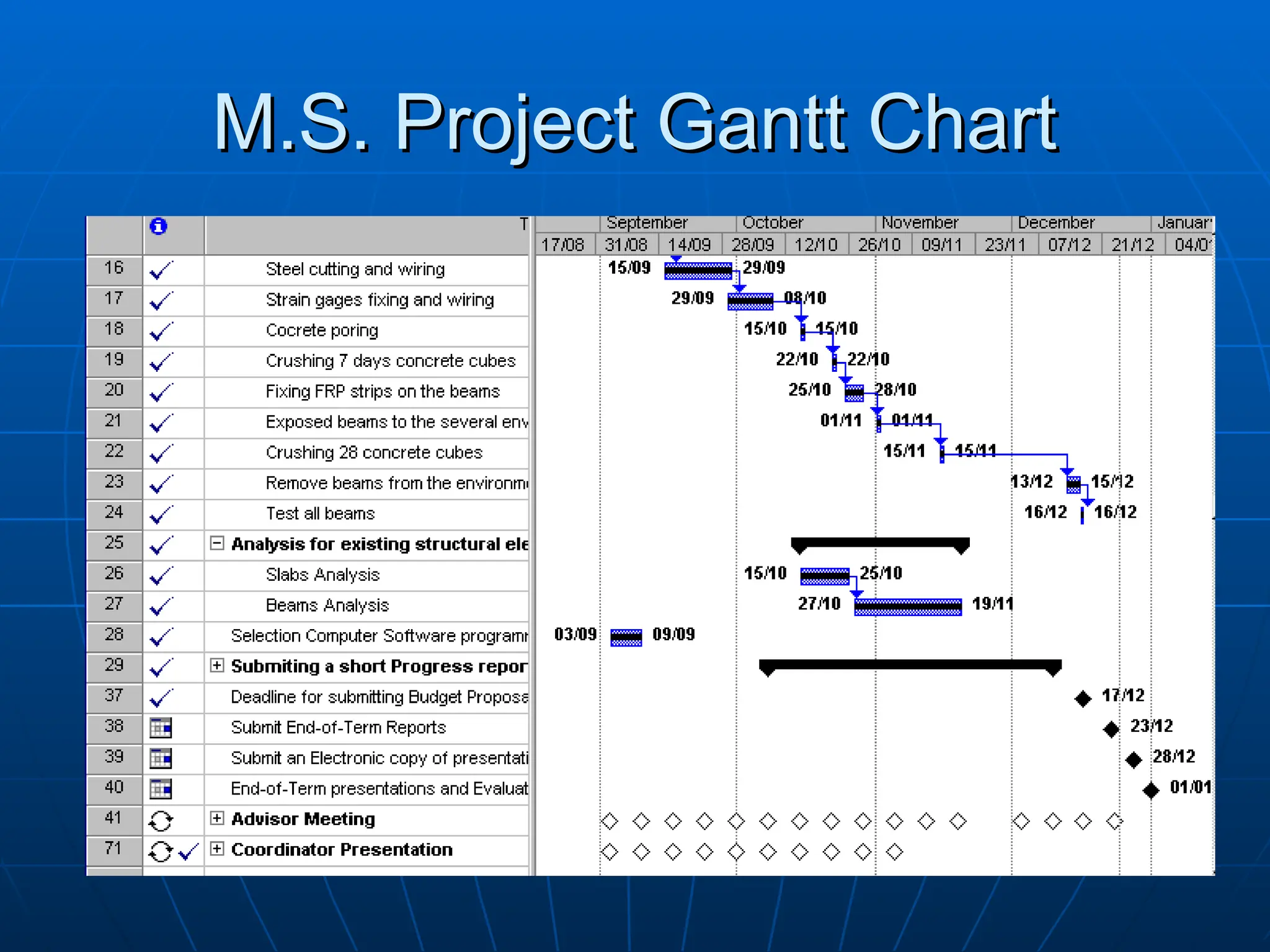M.S. Project Gantt Chart
M.S. Project Gantt Chart
 
