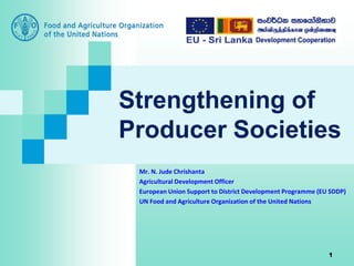Strengthening of
Producer Societies
Mr. N. Jude Chrishanta
Agricultural Development Officer
European Union Support to District Development Programme (EU SDDP)
UN Food and Agriculture Organization of the United Nations
1
 