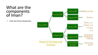 What are the
components
of Iman?
• Iman has three components
 