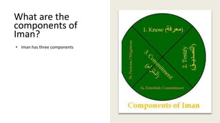 What are the
components of
Iman?
• Iman has three components
 