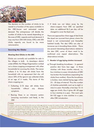 Strengthening the Backyard Poultry. Experiences of AP Drough Adaptation Initiative (AP DAI)