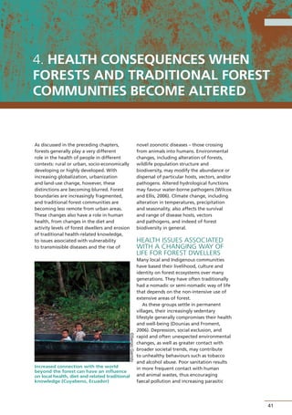 Strengthening the forest–health–nutrition nexus.
